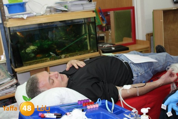 dam kenan0331 (5).jpg